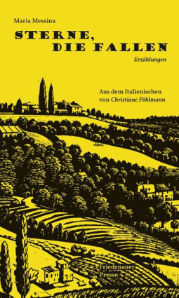 Buchcover für Sterne, die fallen