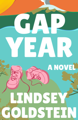 book cover for Gap Year