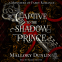 book cover for Captive To The Shadow Prince
