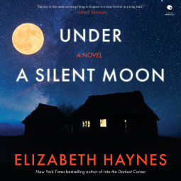 book cover for Under a Silent Moon