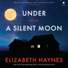 book cover for Under a Silent Moon