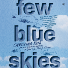 book cover for Few Blue Skies