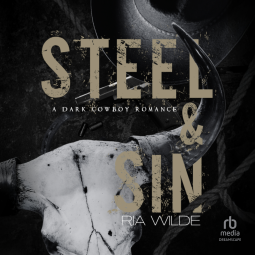 book cover for Steel & Sin