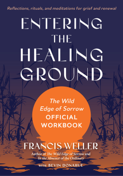 book cover for Entering the Healing Ground