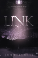 book cover for Link