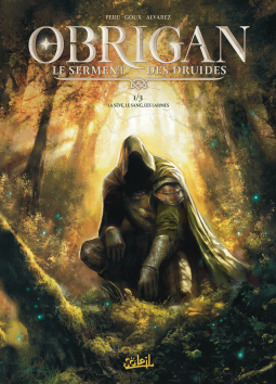 Couverture du livre pour Obrigan - Le Serment des Druides T01