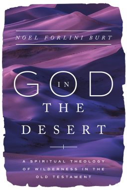 book cover for God in the Desert