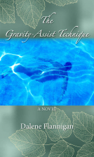 book cover for The Gravity-Assist Technique