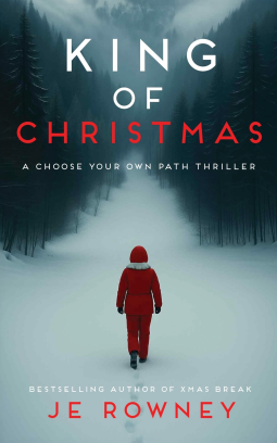 book cover for King of Christmas