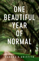 book cover for One Beautiful Year of Normal