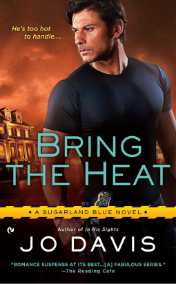 book cover for Bring the Heat