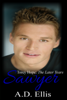 book cover for Sawyer 