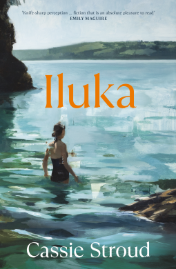 book cover for Iluka