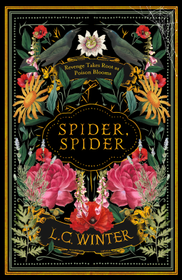 book cover for Spider, Spider