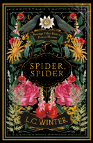 book cover for Spider, Spider