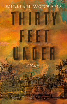 book cover for Thirty Feet Under