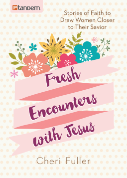 book cover for Fresh Encounters with Jesus