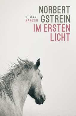 Buchcover für Im ersten Licht