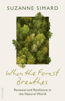 book cover for When the Forest Breathes