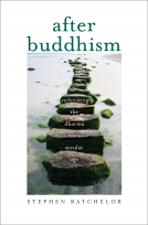 book cover for After Buddhism