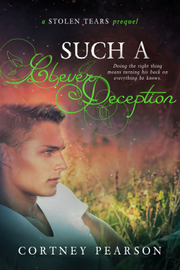book cover for Such a Clever Deception