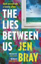 book cover for The Lies Between Us