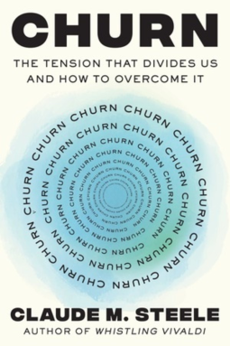 book cover for Churn