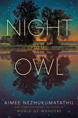 book cover for Night Owl