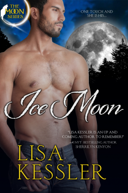 book cover for Ice Moon