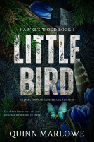 book cover for Little Bird