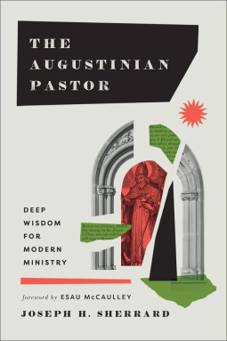 book cover for The Augustinian Pastor