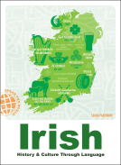 book cover for Irish
