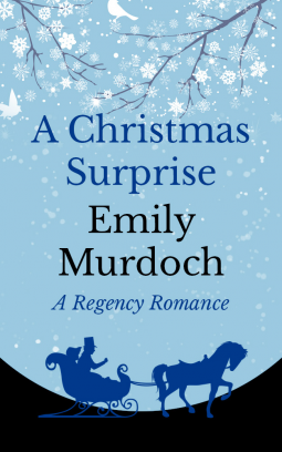 book cover for A Christmas Surprise
