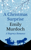 book cover for A Christmas Surprise