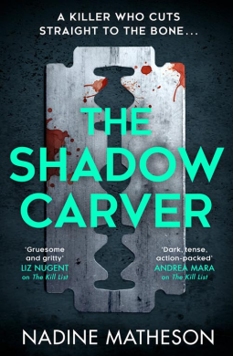 book cover for The Shadow Carver