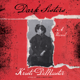 book cover for Dark Sisters