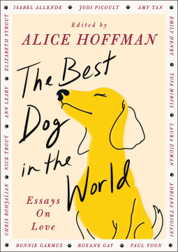 book cover for The Best Dog in the World