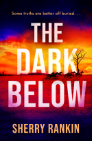 book cover for The Dark Below