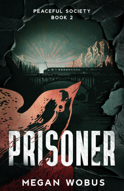 book cover for Prisoner