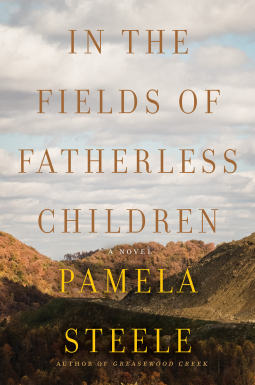 book cover for In The Fields of Fatherless Children