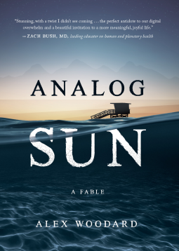 book cover for Analog Sun