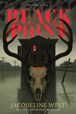 book cover for Black Point