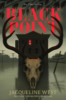 book cover for Black Point