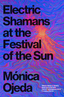 book cover for Electric Shamans at the Festival of the Sun