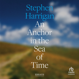 book cover for An Anchor in the Sea of Time