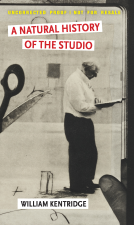 book cover for A Natural History of the Studio