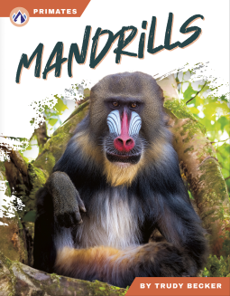 book cover for Mandrills