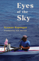 book cover for Eyes of the Sky