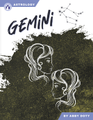 book cover for Gemini