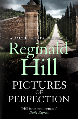book cover for Pictures of Perfection